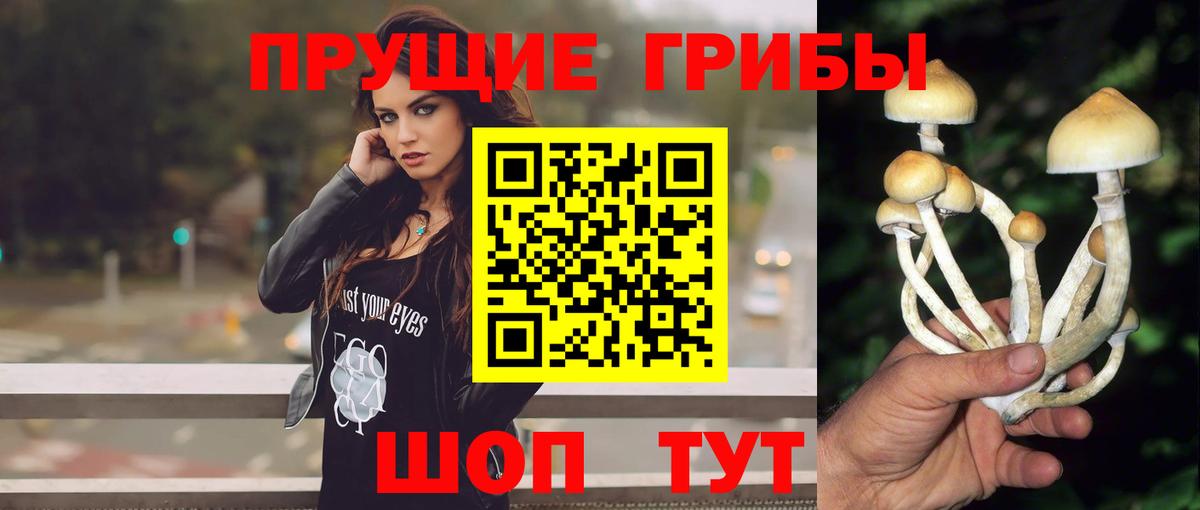 Артёмовский  Псилоцибиновые грибы мухоморы  Вход с VPN 